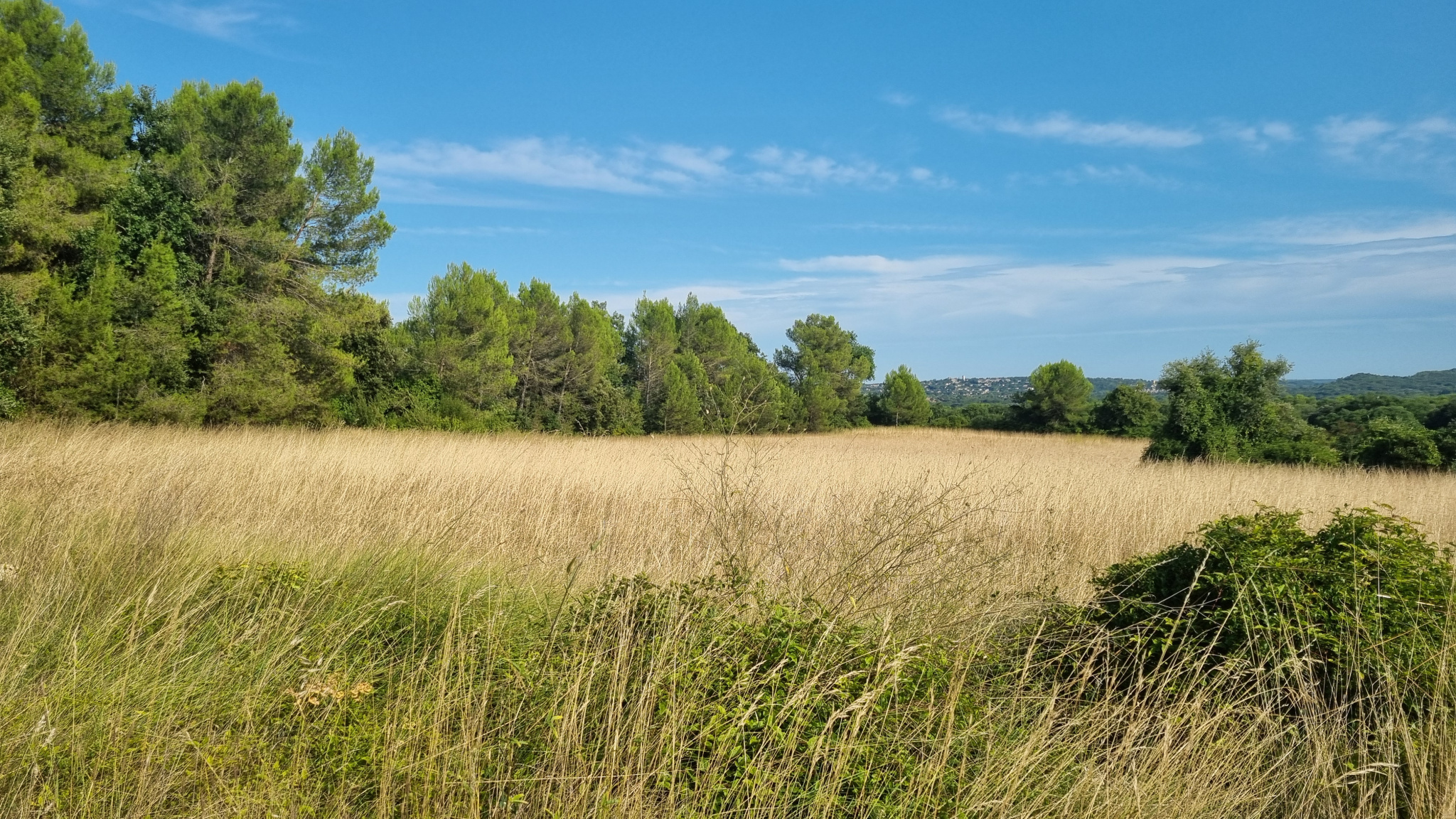 Agence immobilière de AKOR IMMOBILIER